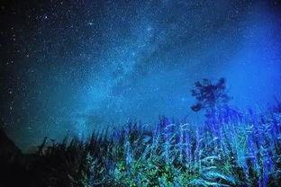 吃瓜星空,揭秘娱乐圈背后的秘密与真相