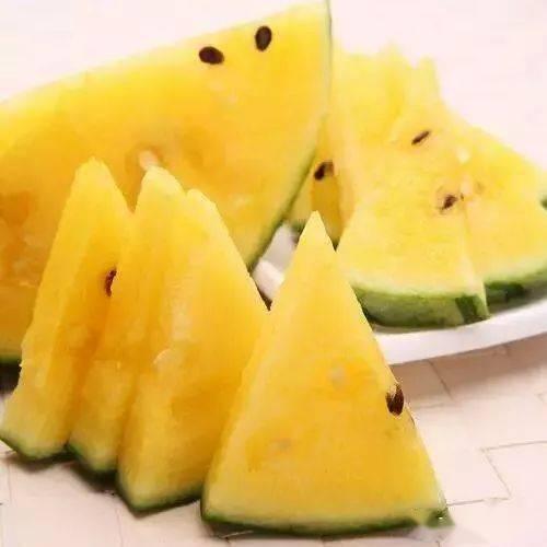 吃瓜特效带你吃瓜,带你轻松吃瓜一夏