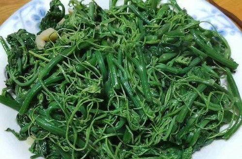 吃佛手瓜需要消,轻松掌握消食养生之道