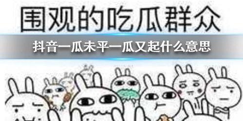 抖音吃瓜现场,揭秘网络热点背后的真相