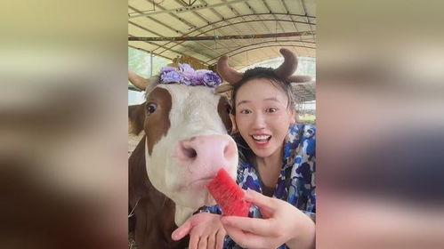 牛牛ai吃瓜,揭秘吃瓜界的智能新势力