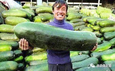 恋爱或者吃瓜,一段恋爱与吃瓜的奇妙旅程