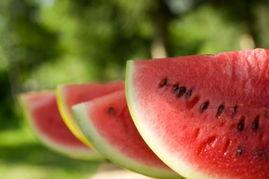 恋爱或者吃瓜,一段恋爱与吃瓜的奇妙旅程