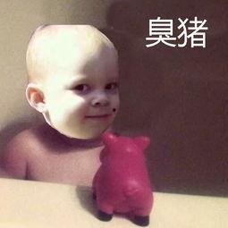 暴走吃瓜头像男生,揭秘校园风云背后的真相