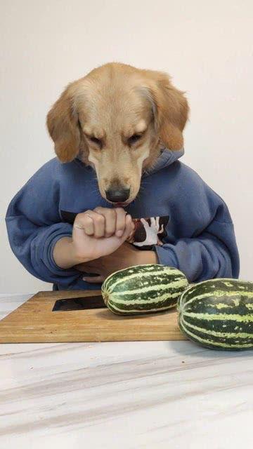 吃今天下大瓜,揭秘明星幕后故事