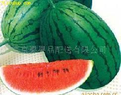 51吃瓜张津,揭秘娱乐圈背后的真实故事