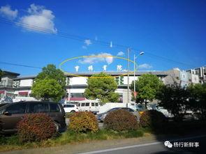 吃瓜售楼部,揭秘房地产市场的“甜蜜陷阱”