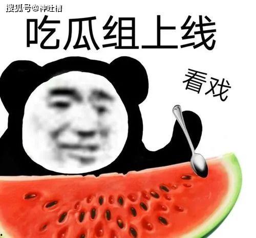 公款吃瓜,揭秘公务消费中的尴尬现象