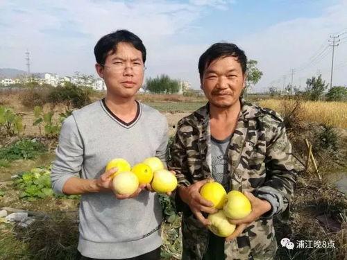 吃瓜群众活动标语