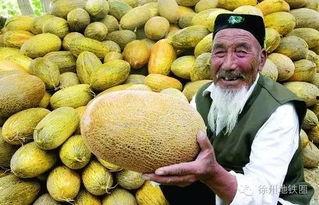 哈密瓜玩着吃,边玩边享的夏日美味体验