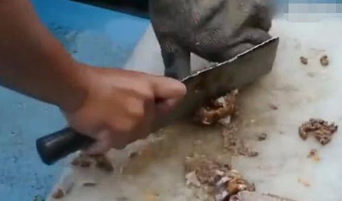 割肉吃瓜刀,揭秘古代烹饪艺术的神秘利器