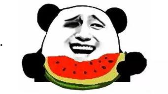 吃瓜群众披萨,揭秘美食背后的趣味故事