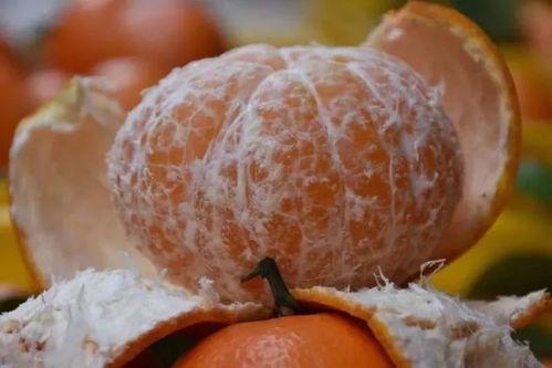 吃瓜不费脑,轻松了解时事热点