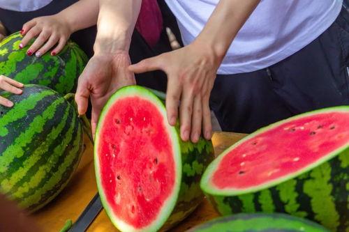 青学院吃瓜,揭秘校园吃瓜背后的故事