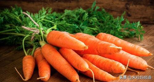 橙橙.我爱你 吃瓜