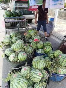 深圳龙湾吃瓜事件,一场网络热议背后的真相揭秘