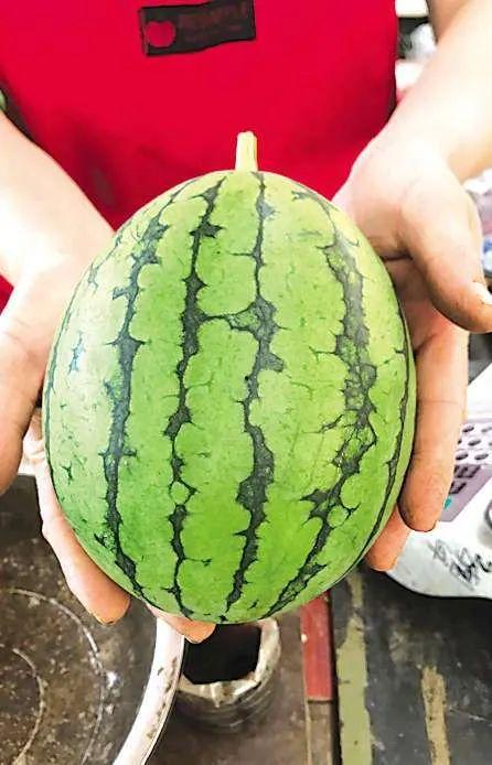 最近 吃瓜,真相与谣言的较量