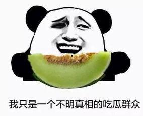 不要玩吃瓜群众,告别吃瓜群众，深度解析社会现象背后的真相