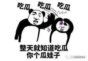 等你瓜怎么吃,探索“等你瓜怎么吃”的多元解读与趣味应用