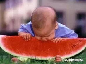 等你瓜怎么吃,探索“等你瓜怎么吃”的多元解读与趣味应用