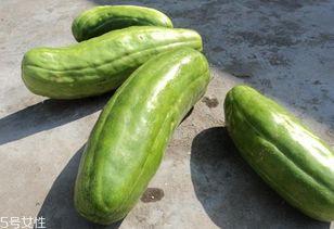 脆瓜怎样吃最好,这样吃最过瘾！