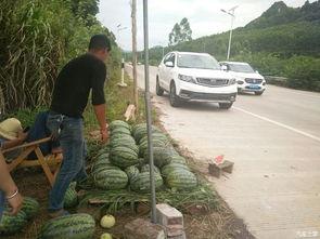 公园凳子吃瓜,一场别开生面的吃瓜盛宴