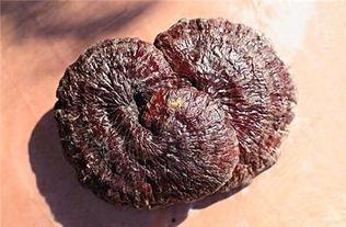 做人流可以吃瓜吗,饮食禁忌与适宜瓜果选择