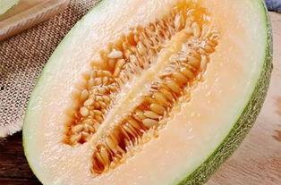 吃小蜜瓜歌曲大全,尽在吃小蜜瓜歌曲大全