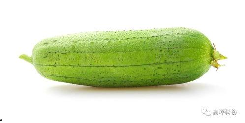 适合秋季吃的瓜