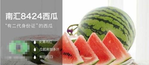 优秀的吃瓜人,品味人间烟火，笑看风云变幻