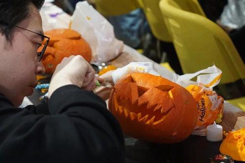 吃瓜群众怎么挖瓜,如何巧妙挖掘瓜田里的秘密