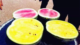 吃瓜视频大瓜,吃瓜视频大瓜背后的惊人真相