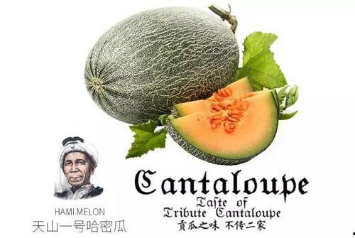 伦敦吃瓜公众号,揭秘伦敦美食圈那些事儿