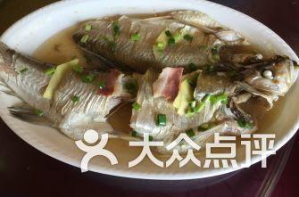 吃瓜的白鱼,揭秘吃瓜界的风云变幻