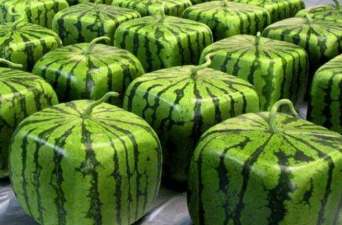 全网吃瓜首发,揭秘娱乐圈幕后真相