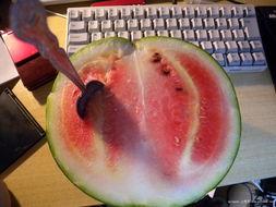 叶哥吃瓜,揭秘娱乐圈那些不为人知的幕后故事