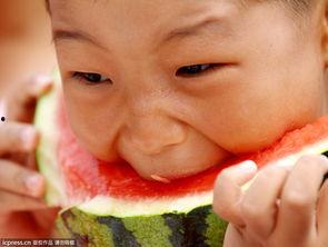 小儿虎吃瓜,小儿的勇敢冒险之旅