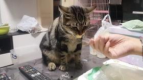 爱可可的吃瓜,揭秘娱乐圈那些事儿