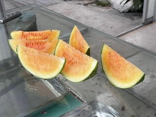 实现吃瓜干自由