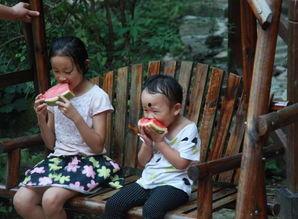 吃瓜直播河南,揭秘河南美食文化盛宴