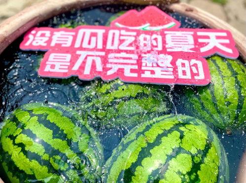 吃瓜集合了,揭秘网络热议背后的真相与趣味