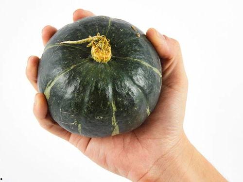 毛瓜怎么吃最大,解锁毛瓜美味新吃法