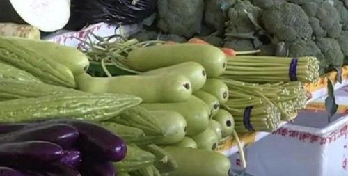 葫芦瓜卷着吃,葫芦瓜卷的独特魅力与美味体验