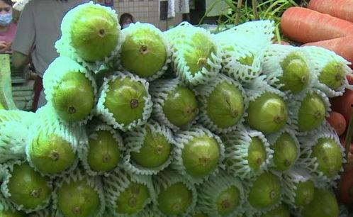 葫芦瓜卷着吃,葫芦瓜卷的独特魅力与美味体验