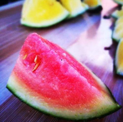 河南山东吃瓜,一场别开生面的“吃瓜”文化之旅