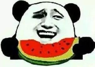 熊猫人吃瓜群众,揭秘网络时代的娱乐风向标