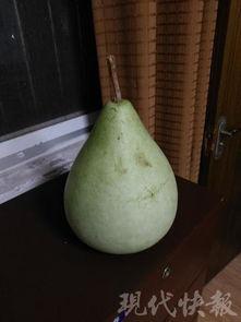 男子吃瓜中毒,警惕夏日食品安全