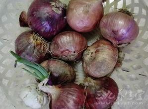 肠癌可以吃角瓜吗,角瓜的适宜与禁忌