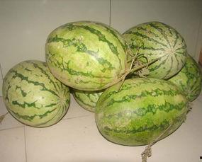 依洛吃瓜记,揭秘娱乐圈幕后真相