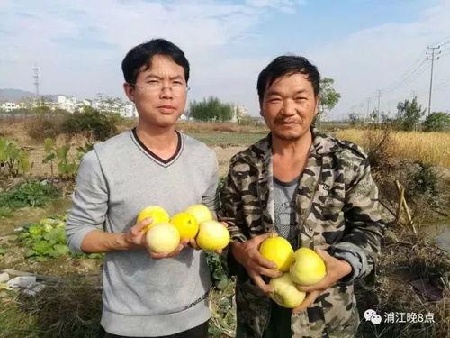 吃瓜群众活动标语,吃瓜群众狂欢活动盛况空前